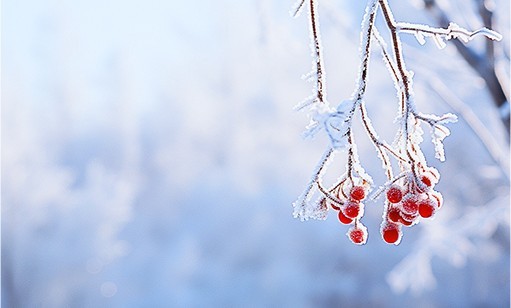 瑞雪兆丰年丨2024长沙初雪 S36沙龙官网雪景图集